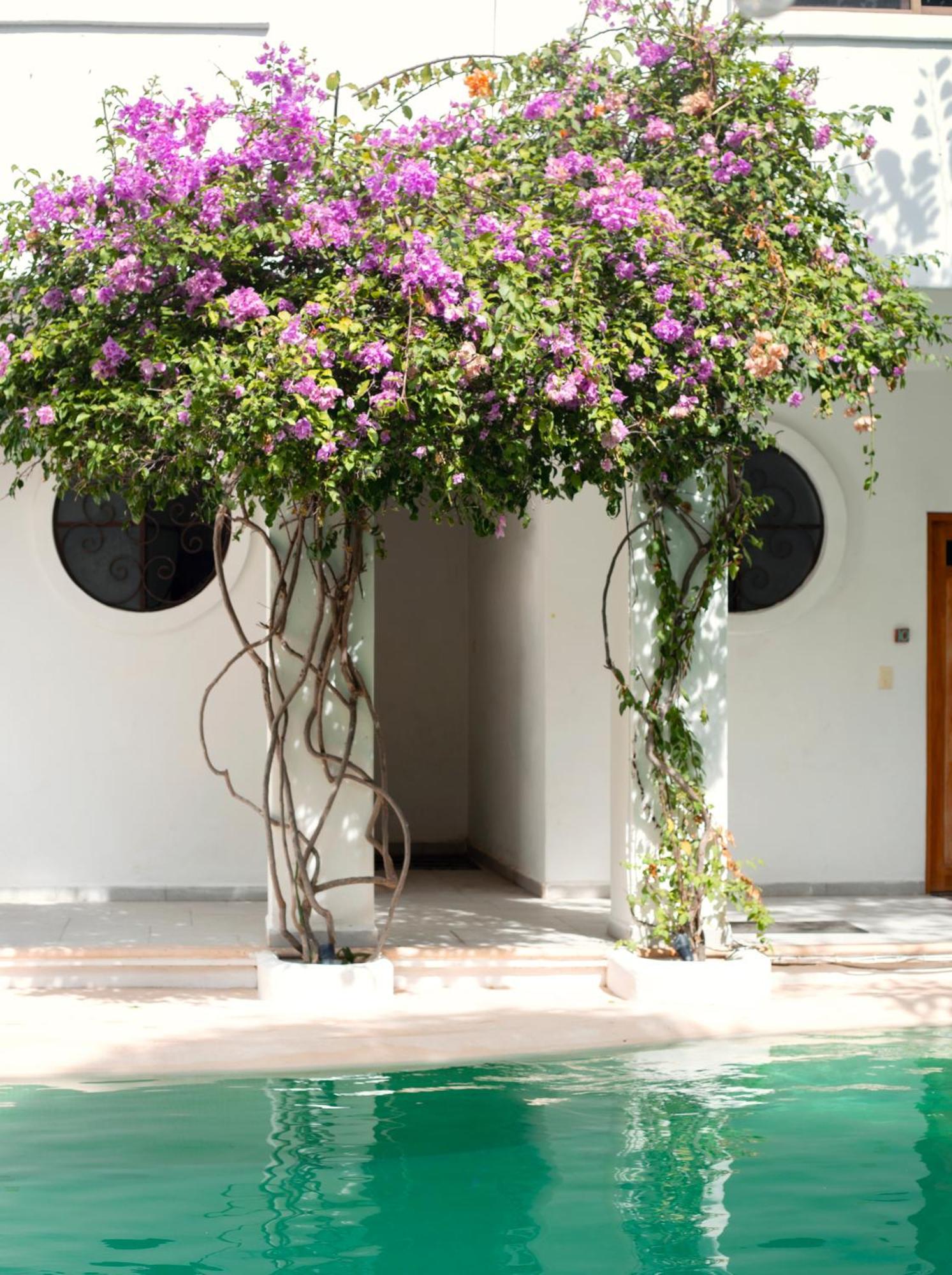 Sonido Del Mar Hotel Boutique & Yoga Loft Tulum Exterior photo